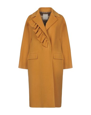 ZOOM GOLD CASE - Coat