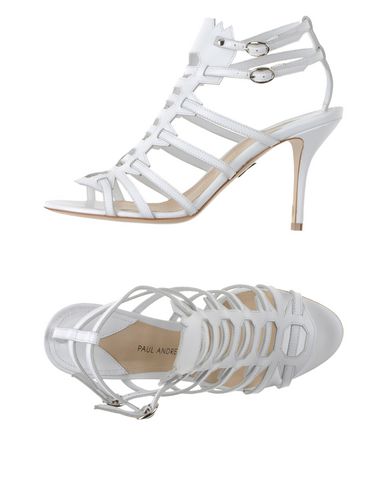 PAUL ANDREW PAUL ANDREW