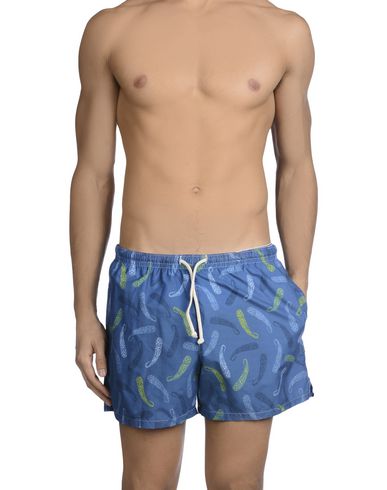 ZOOM MOSAIQUE - Boxer mare