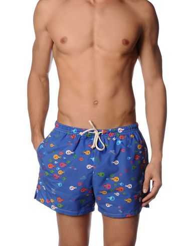 ZOOM MOSAIQUE - Boxer mare