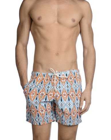 ZOOM MOSAIQUE - Boxer mare