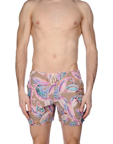 ZOOM MOSAIQUE - Boxer mare