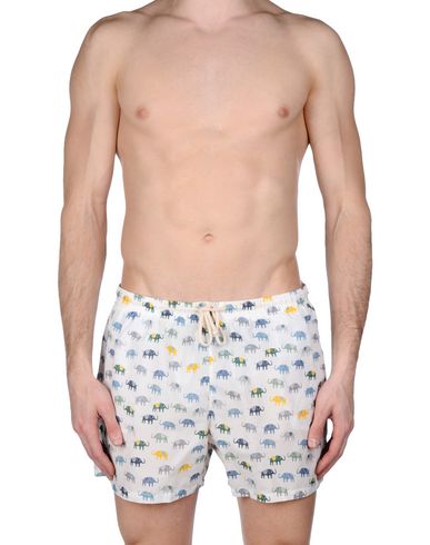 ZOOM MOSAIQUE - Boxer mare