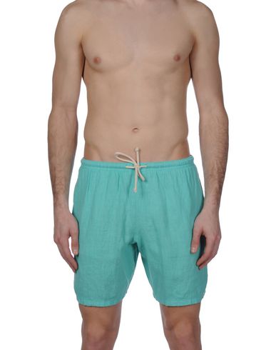 ZOOM MOSAIQUE - Boxer mare