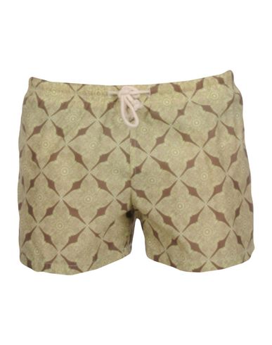ZOOM MOSAIQUE - Boxer mare