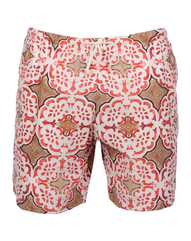 ZOOM MOSAIQUE - Boxer mare