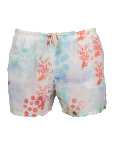 ZOOM MOSAIQUE - Boxer mare