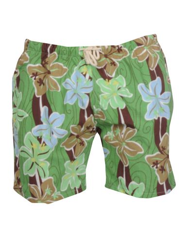 ZOOM MOSAIQUE - Boxer mare