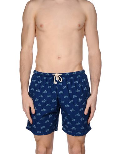 ZOOM MOSAIQUE - Boxer mare