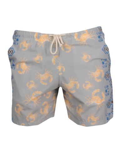 ZOOM MOSAIQUE - Boxer mare