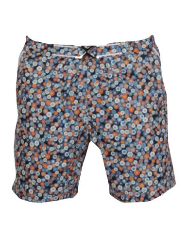 ZOOM MOSAIQUE - Boxer mare