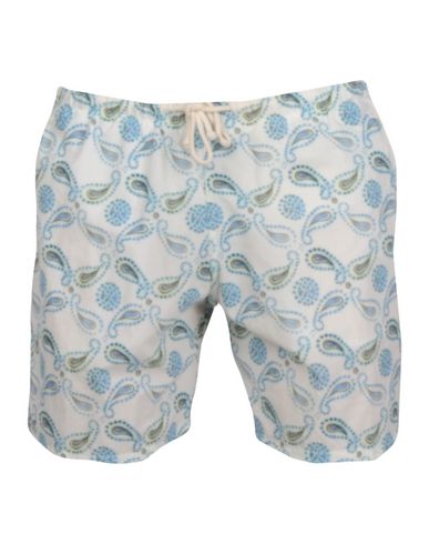 ZOOM MOSAIQUE - Boxer mare