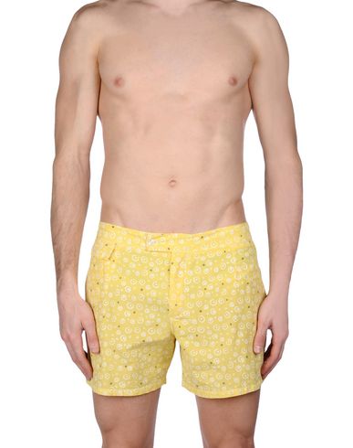 ZOOM MOSAIQUE - Boxer mare