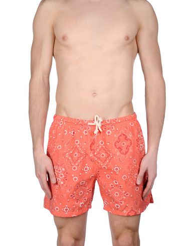 ZOOM MOSAIQUE - Boxer mare