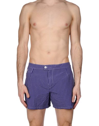 ZOOM MOSAIQUE - Boxer mare