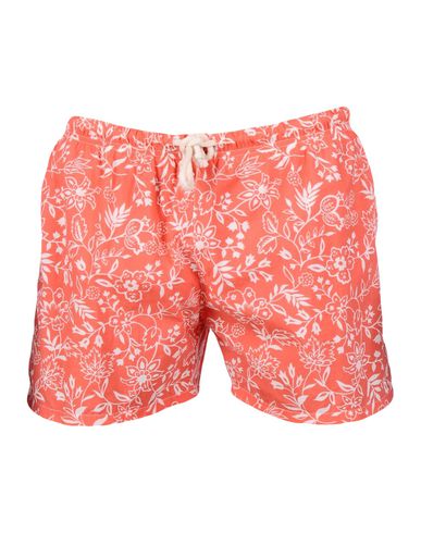 ZOOM MOSAIQUE - Boxer mare