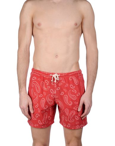 ZOOM MOSAIQUE - Boxer mare