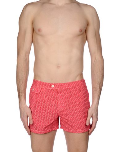 ZOOM MOSAIQUE - Boxer mare