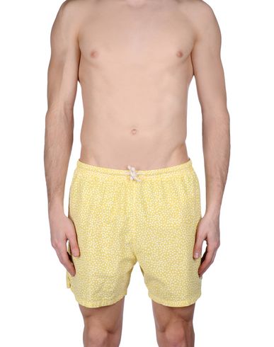 ZOOM MOSAIQUE - Boxer mare