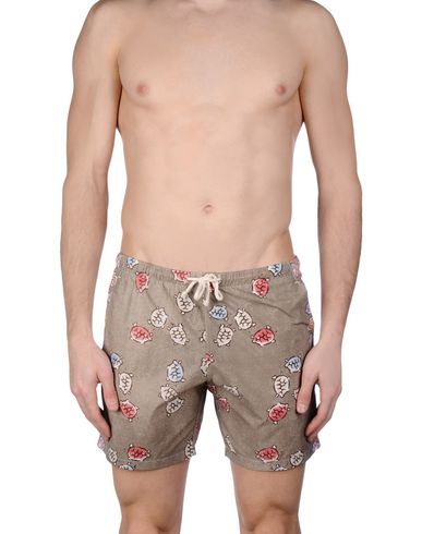 ZOOM MOSAIQUE - Boxer mare