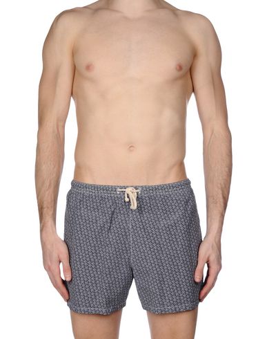 ZOOM MOSAIQUE - Boxer mare