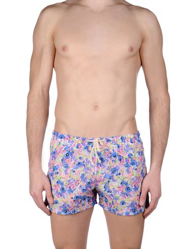 ZOOM MOSAIQUE - Boxer mare