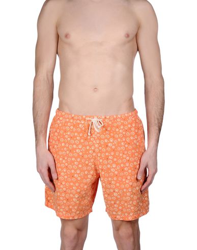 ZOOM MOSAIQUE - Boxer mare