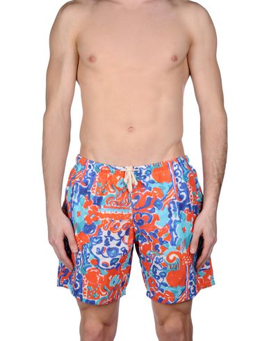 ZOOM MOSAIQUE - Boxer mare