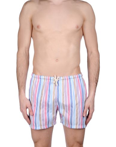 ZOOM MOSAIQUE - Boxer mare