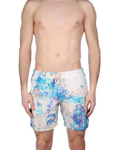 ZOOM MOSAIQUE - Boxer mare