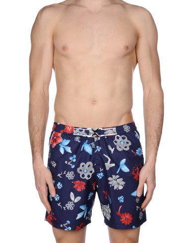 ZOOM MOSAIQUE - Boxer mare