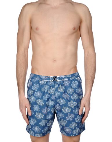 ZOOM MOSAIQUE - Boxer mare