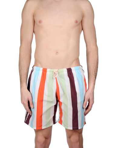 ZOOM MOSAIQUE - Boxer mare