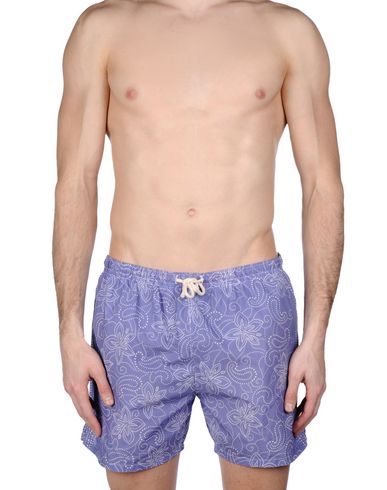 ZOOM MOSAIQUE - Boxer mare