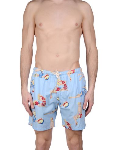 ZOOM MOSAIQUE - Boxer mare