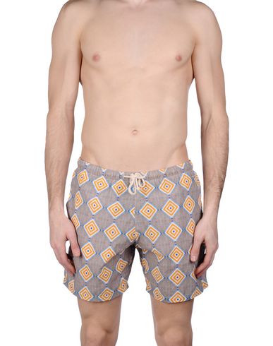 ZOOM MOSAIQUE - Boxer mare