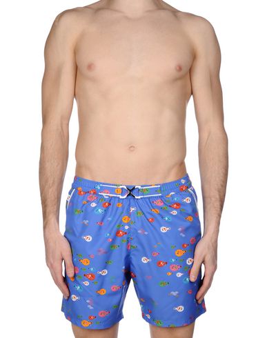 ZOOM MOSAIQUE - Boxer mare
