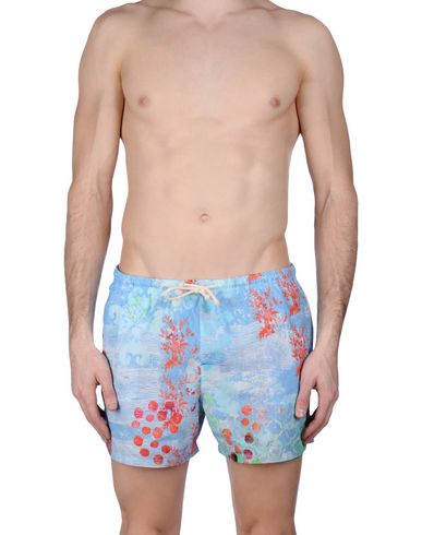 ZOOM MOSAIQUE - Boxer mare