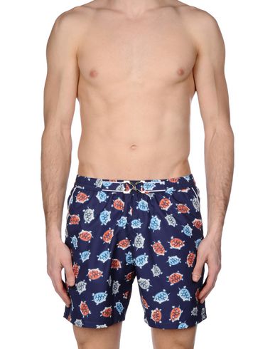 ZOOM MOSAIQUE - Boxer mare