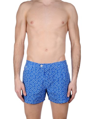 ZOOM MOSAIQUE - Boxer mare