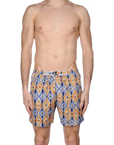 ZOOM MOSAIQUE - Boxer mare