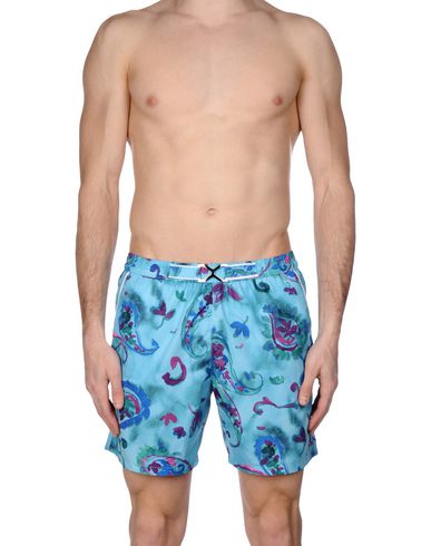 ZOOM MOSAIQUE - Boxer mare