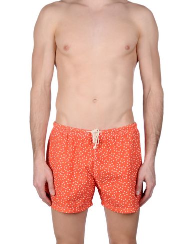 ZOOM MOSAIQUE - Boxer mare