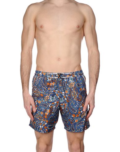 ZOOM MOSAIQUE - Boxer mare