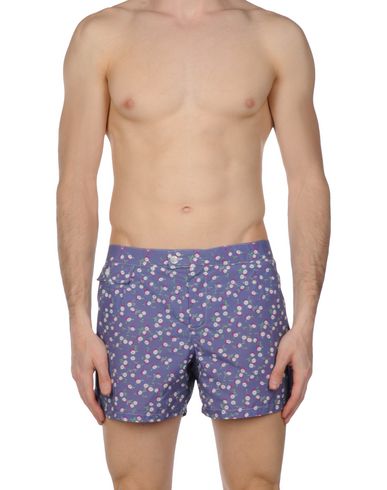 ZOOM MOSAIQUE - Boxer mare