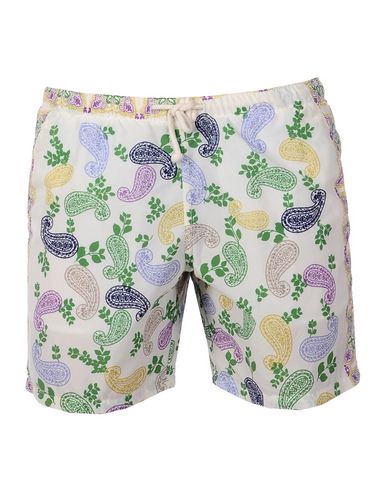 ZOOM MOSAIQUE - Boxer mare