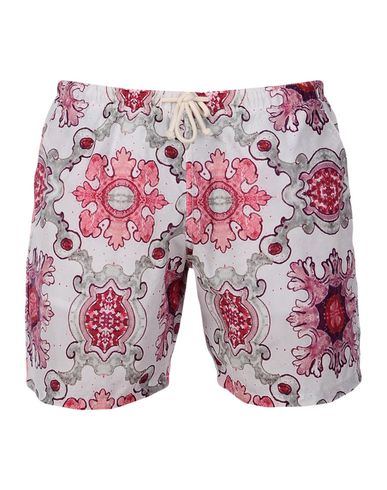 ZOOM MOSAIQUE - Boxer mare