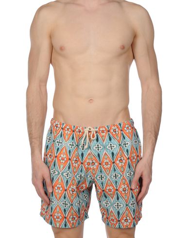 ZOOM MOSAIQUE - Boxer mare
