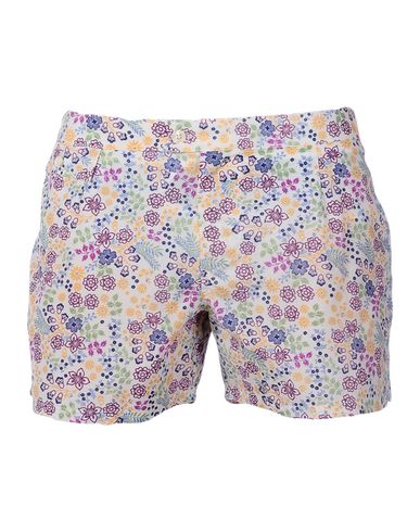 ZOOM MOSAIQUE - Boxer mare