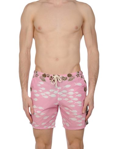 ZOOM MOSAIQUE - Boxer mare